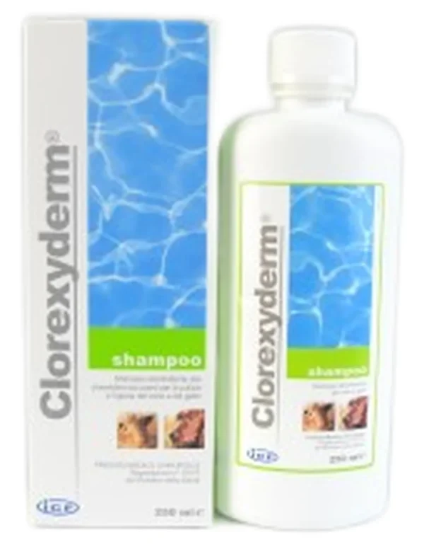 CLOREXYDERM SHAMPOO 250ML