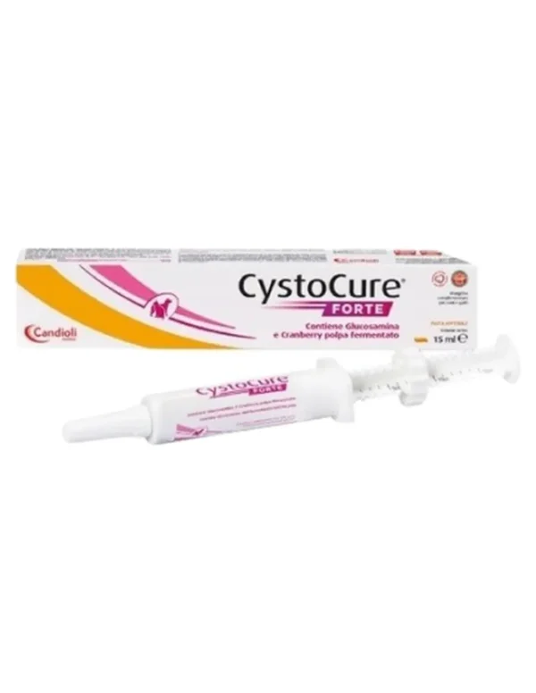 Cystocure Forte Pasta 15 ml