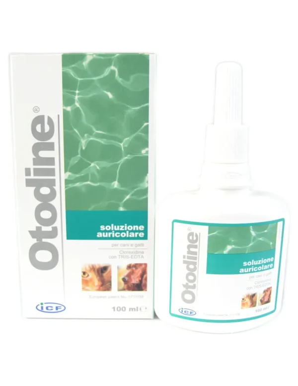 OTODINE 100ML